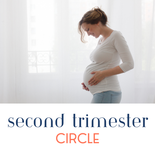 Second Trimester Circle